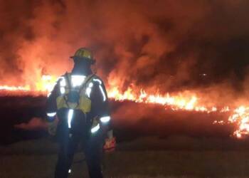 VENADO TUERTO: INCENDIO DE PASTOS EN LAGUNA EL HINOJO 