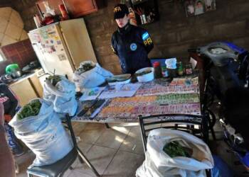 DESBARATAN BANDA DIRIGIDA DESDE LA CÁRCEL POR RECONOCIDOS NARCOS VENADENSES