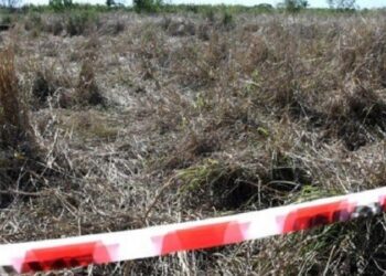 HORROR EN UN CAMPO SANTAFESINO: ENCONTRARON EL CUERPO SIN VIDA DE UN NENE DE 9 AÑOS