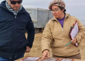 MELINCUÉ: EXCAVACIONES ARQUEOLÓGICAS ARROJARON IMPORTANTES HALLAZGOS