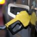Prevén que “en diez días” comenzaría a normalizarse la provisión de gasoil Prevén que “en diez días” comenzaría a normalizarse la provisión de gasoil