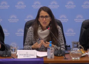 Presentaron dos proyectos para tipificar como delito la figura de la violencia digital