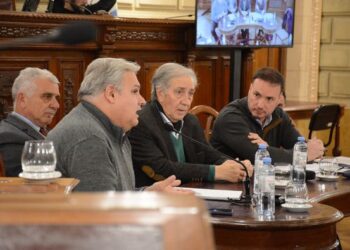 AUDIENCIA EN EL SENADO SANTAFESINO POR LA REFORMA DEL CÓDIGO PROCESAL PENAL JUVENIL