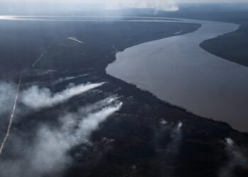 El Presidente ordenó la actuación de las Fuerzas Armadas ante los incendios