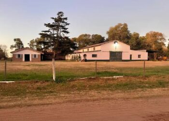 MAGGIOLO: LLEGARON ARMADOS EN UN CAMIÓN, AMENAZARON A LOS EMPLEADOS Y SE LLEVARON UNA “CIFRA MILLONARIA”