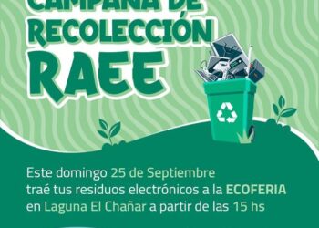 TEODELINA: 𝐄𝐂𝐎𝐅𝐄𝐑𝐈𝐀  | 𝐑𝐄𝐂𝐎𝐋𝐄𝐂𝐂𝐈𝐎𝐍 𝐑𝐀𝐄𝐄