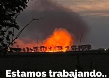 TEODELINA: ARDUO TRABAJO DE BOMBEROS EN UN INCENDIO EN ZONA RURAL