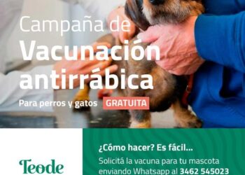 COMUNA DE TEODELINA: CAMPAÑA DE VACUNACIÓN ANTIRRÁBICA