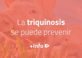 TEODELINA: 𝗔𝗦𝗦𝗔𝗹 | 𝗔𝗟𝗘𝗥𝗧𝗔 𝗧𝗥𝗜𝗤𝗨𝗜𝗡𝗢𝗦𝗜𝗦