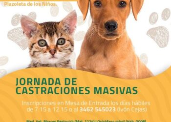 TEODELINA: 𝗝𝗢𝗥𝗡𝗔𝗗𝗔 𝗗𝗘 𝗖𝗔𝗦𝗧𝗥𝗔𝗖𝗜𝗢𝗡𝗘𝗦 𝗠𝗔𝗦𝗜𝗩𝗔𝗦 𝗔 𝗕𝗔𝗝𝗢 𝗖𝗢𝗦𝗧𝗢