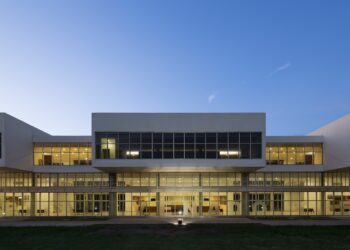 VENADO TUERTO: ACCIDENTE FATAL EN RUTA NACIONAL 8