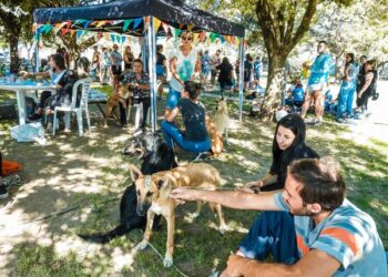 TEODELINA: 𝐒𝐄 𝐑𝐄𝐀𝐋𝐈𝐙𝐀𝐑𝐎𝐍 𝟖𝟒 𝐂𝐀𝐒𝐓𝐑𝐀𝐂𝐈𝐎𝐍𝐄𝐒 𝐄𝐍 𝐔𝐍𝐀 𝐍𝐔𝐄𝐕𝐀 𝐉𝐎𝐑𝐍𝐀𝐃𝐀 𝐌𝐀𝐒𝐈𝐕𝐀