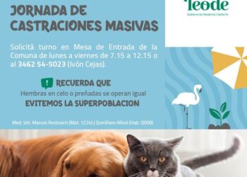 𝗝𝗢𝗥𝗡𝗔𝗗𝗔 𝗗𝗘 𝗖𝗔𝗦𝗧𝗥𝗔𝗖𝗜𝗢𝗡𝗘𝗦 𝗠𝗔𝗦𝗜𝗩𝗔𝗦 𝗔 𝗕𝗔𝗝𝗢 𝗖𝗢𝗦𝗧𝗢