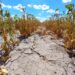 EMERGENCIA AGROPECUARIA: LA PROVINCIA INICIA UN OPERATIVO PARA ASESORAR A PRODUCTORES INTERESADOS EN ACCEDER A BENEFICIOS NACIONALES EMERGENCIA AGROPECUARIA: LA PROVINCIA INICIA UN OPERATIVO PARA ASESORAR A PRODUCTORES INTERESADOS EN ACCEDER A BENEFICIOS NACIONALES