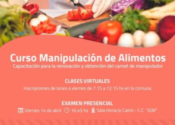 TEODELINA -𝗢𝗕𝗧𝗘𝗡𝗘 𝗘𝗟 𝗖𝗔𝗥𝗡𝗘𝗧 𝗗𝗘 𝗠𝗔𝗡𝗜𝗣𝗨𝗟𝗔𝗗𝗢𝗥 𝗗𝗘 𝗔𝗟𝗜𝗠𝗘𝗡𝗧𝗢𝗦