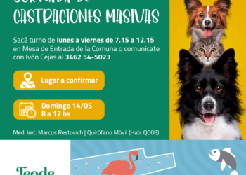 JORNADA DE CASTRACIONES MASIVAS PARA PERROS Y GATOS