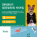 JORNADA DE CASTRACIONES MASIVAS PARA PERROS Y GATOS JORNADA DE CASTRACIONES MASIVAS PARA PERROS Y GATOS