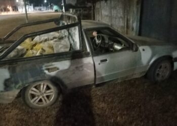 MAGGIOLO: HOMBRE APREHENDIDO POR ROBAR MAÍZ