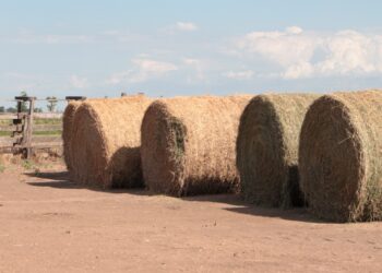 LA PROVINCIA OFRECE CRÉDITOS CON TASA BONIFICADA POR 5 MIL MILLONES DE PESOS AL SECTOR AGROPECUARIO