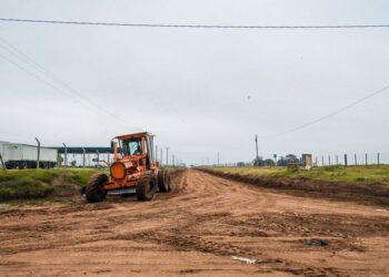 TEODELINA: 𝐂𝐎𝐍𝐒𝐓𝐀𝐍𝐓𝐄𝐒 𝐌𝐄𝐉𝐎𝐑𝐀𝐒 𝐃𝐄 𝐂𝐀𝐌𝐈𝐍𝐎𝐒 𝐑𝐔𝐑𝐀𝐋𝐄𝐒