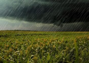 SENADOR ENRICO: “ANTE LA POSIBILIDAD DEL FENÓMENO DEL NIÑO SOLICITAMOS AL GOBIERNO PROVINCIAL QUE SE ACTIVEN LAS OBRAS HÍDRICAS DEMORADAS”