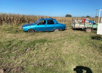 VILLA CAÑAS: ARRESTADOS POR SUSTRAER MAÍZ DE UN CAMPO
