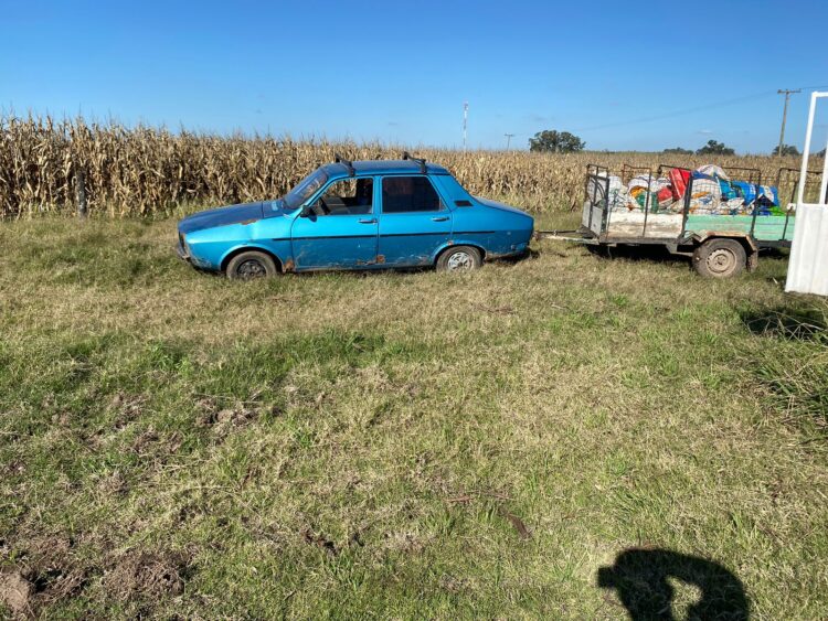 VILLA CAÑAS: ARRESTADOS POR SUSTRAER MAÍZ DE UN CAMPO