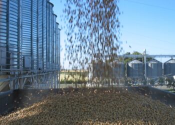 LA PROVINCIA DE SANTA FE AVANZA EN CAPACITACIONES DE OPERARIOS DE POSCOSECHA DE GRANOS ALMACENADOS