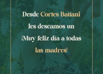 AGUA CAIDA EN LA REGION