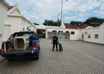 UNIDAD REGIONAL VIII – DEPTO. GRAL. LÓPEZ