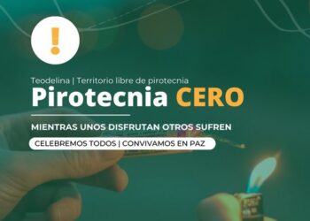 𝗧𝗲𝗼𝗱𝗲𝗹𝗶𝗻𝗮 𝗧𝗲𝗿𝗿𝗶𝘁𝗼𝗿𝗶𝗼 𝗟𝗶𝗯𝗿𝗲 𝗱𝗲 𝗣𝗶𝗿𝗼𝘁𝗲𝗰𝗻𝗶𝗮 – 𝗢𝗥𝗗𝗘𝗡𝗔𝗡𝗭𝗔 𝟰𝟴/𝟮𝟬𝟭𝟲