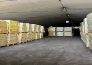 Alimentos retenidos: Sandra Pettovello ordenó enviar al conurbano bonaerense solo el 1% de leche en polvo