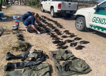 Turistas extranjeros demorados por cazar ilegalmente en el norte de la provincia de Santa Fe