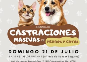 TEODELINA: 𝗝𝗢𝗥𝗡𝗔𝗗𝗔 𝗗𝗘 𝗖𝗔𝗦𝗧𝗥𝗔𝗖𝗜𝗢𝗡𝗘𝗦 𝗠𝗔𝗦𝗜𝗩𝗔𝗦 𝗔 𝗕𝗔𝗝𝗢 𝗖𝗢𝗦𝗧𝗢