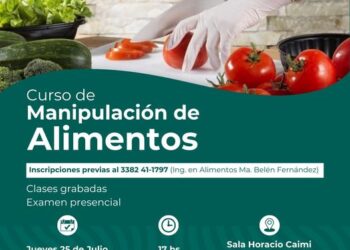 TEODELINA:𝗢𝗕𝗧𝗘𝗡𝗘 𝗘𝗟 𝗖𝗔𝗥𝗡𝗘𝗧 𝗗𝗘 𝗠𝗔𝗡𝗜𝗣𝗨𝗟𝗔𝗗𝗢𝗥 𝗗𝗘 𝗔𝗟𝗜𝗠𝗘𝗡𝗧𝗢𝗦 