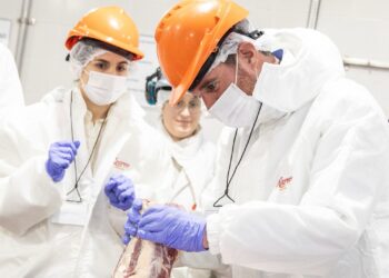 Santa Fe Business Forum: compradores extranjeros recorren empresas en la provincia