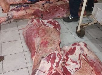 DECOMISARON 650 KILOS DE CARNE VACUNA EN CARNICERÍAS DE VILLA CAÑÁS
