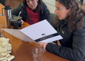 PERSONERÍA JURÍDICA: CRECE EL NÚMERO DE TRÁMITES A TRAVÉS DEL EQUIPO DE LA SENADORA DI GREGORIO