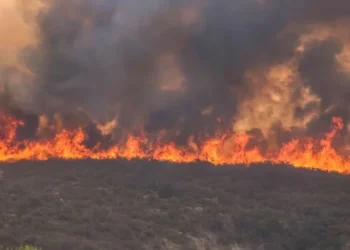 Llaryora por los incendios en Córdoba: “La situación es un desastre”