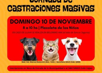 TEODELINA: 𝗝𝗢𝗥𝗡𝗔𝗗𝗔 𝗗𝗘 𝗖𝗔𝗦𝗧𝗥𝗔𝗖𝗜𝗢𝗡𝗘𝗦 𝗠𝗔𝗦𝗜𝗩𝗔𝗦 𝗔 𝗕𝗔𝗝𝗢 𝗖𝗢𝗦𝗧𝗢