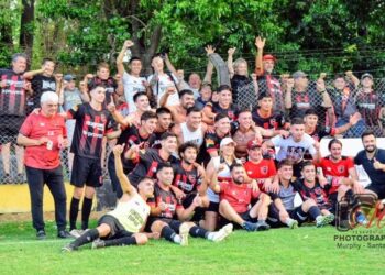 LIGA VENADENSE DE FUTBOL