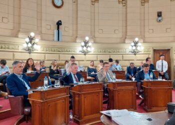 ANUNCIO DE DI GREGORIO: ESCUELAS INCORPORADAS ÚNICAS EN SU LOCALIDAD PAGARÁN LA MITAD DE LA FACTURA DE LUZ