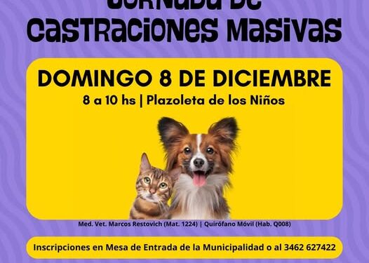 TEODELINA; 𝗝𝗢𝗥𝗡𝗔𝗗𝗔 𝗗𝗘 𝗖𝗔𝗦𝗧𝗥𝗔𝗖𝗜𝗢𝗡𝗘𝗦 𝗠𝗔𝗦𝗜𝗩𝗔𝗦 𝗔 𝗕𝗔𝗝𝗢 𝗖𝗢𝗦𝗧𝗢 ESTE DOMINGO