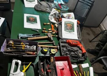 Banda dedicada al abigeato desbaratada tras operativos conjuntos en Santa Isabel y Villa Cañás