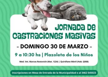 TEODELINA: 𝗝𝗢𝗥𝗡𝗔𝗗𝗔 𝗗𝗘 𝗖𝗔𝗦𝗧𝗥𝗔𝗖𝗜𝗢𝗡𝗘𝗦 𝗠𝗔𝗦𝗜𝗩𝗔𝗦 𝗔 𝗕𝗔𝗝𝗢 𝗖𝗢𝗦𝗧𝗢