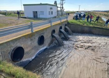LA SENADORA DI GREGORIO DESTACÓ LA IMPORTANCIA DE LAS PRUEBAS EN LA PICASA