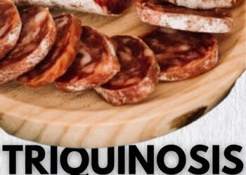 MUNICIPALIDAD DE TEODELINA: Temporada de prevención: cuidá lo que comés