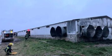 Teodelina: incendio en un criadero de gallinas
