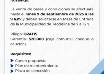 MUNICIPALIDAD DE TEODELINA: ¡La calesita busca nuevo concesionario!