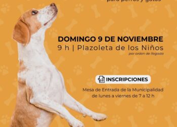 TEODELINA: Castraciones masivas para perros y gatos